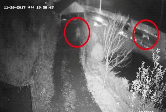 Megkergetett a medve egy nőt Szovátán