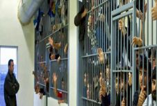 Bogdán Tibor: Szabadlábon – sajnos – életfogytiglanig 