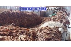 Illegális dohánygyárat lepleztek le Marosludason