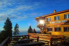 Egy medve megpróbált behatolni a Julius Römer-menedékházba