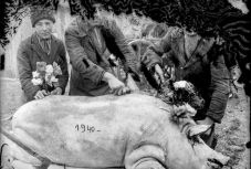 Amit a fotók nem mutatnak - romániai holokausztfilmjéről beszélt Radu Jude