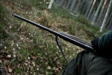 Mezőgazdasági miniszter a medvékről: „miért ne lőjük ki őket?”