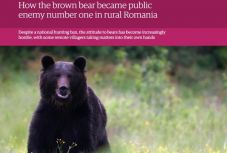 Medve-ügy: hibaigazítást kér Borboly Csaba a The Guardiantől