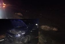 Ilyen országúti balesetek már csak Romániában vannak