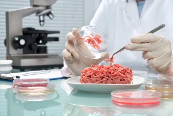 Laboratóriumi hús és rovarok: alternatív élelmiszereket ajánlanak európai tudósok