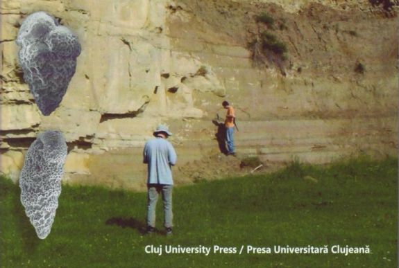 BBTE-s geológus tanulmányát tüntette ki a Román Akadémia