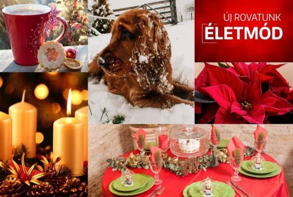 Rólad és Neked szól – elindítottuk az Életmód rovatunkat