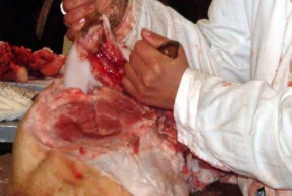 Trichinellózissal fertőzött sertést fedeztek fel Maros megyében