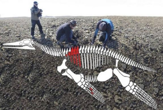 Óriás tengeri hüllő maradványait találták meg