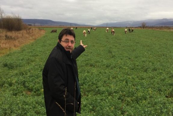 Hamarosan láthatatlan ernyő védi a gazdákat a jégeső ellen Háromszéken is