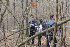 Agyonütötte a fa egy Hargita megyei cég alkalmazottját