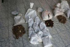 Nem mindennapi „lelet” a határátkelőnél