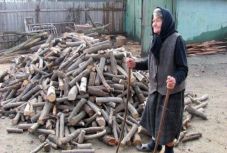 Miért lett ilyen horribilis ára a tűzifának? Megoldás lehet a tűzifa exportjának tilalma?