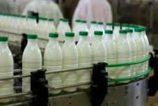 Magyarországról importáljuk az idehaza feldolgozott tej zömét