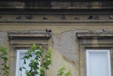 Nagyváradon is jön az óriási büntetőadó az elhanyagolt ingatlanokra