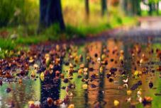 Szinte tavaszi időjárás lesz karácsony napján