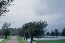 Sárga jelzéssel figyelmeztetnek az erős szélre a meteorológusok