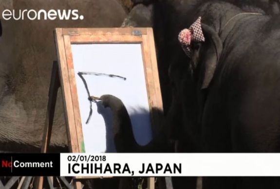 Hihetetlen művészi rajzokat készítenek elefántok Japánban