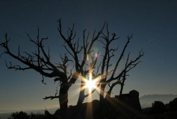 Melegrekord dőlt meg Budapesten hétfő hajnalban