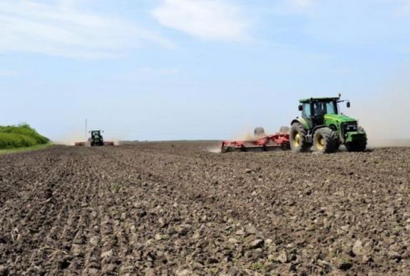 Hektáronként ennyi támogatás jár a szántóterületeken termelt kultúrákra