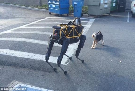 Magyar kutatók szerint a kutyákról kellene mintázni a robotokat