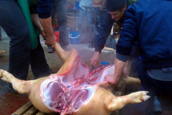 Trichinella-fertőzést kapott három Hargita megyei személy