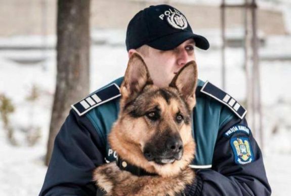 Rendőrkutya kapott el egy tolvajt, aki nem sokáig örülhetett a zsákmánynak