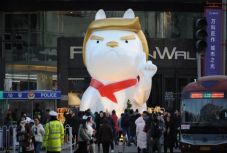 Trumpra hasonlító óriási kutya jelent meg egy kínai bevásárlóközpontban