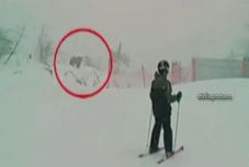 Medve kószált Keresztényhavason, a sípálya közelében