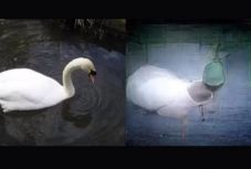 Én gondolok rá, ő kitalálja – új szintre lépett a mesterséges intelligencia