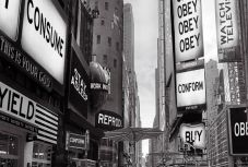 Kustán Magyari Attila: Több cica, kevesebb hír a Facebookon. Miért baj ez?