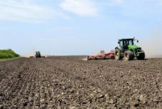 Hektáronként ennyi támogatás jár a szántóterületeken termelt kultúrákra