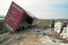 Fejtágító: így kell szállítani a műtrágyát, hogy ne robbanjon