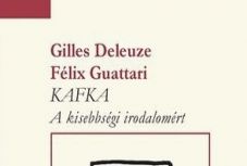 KISEBBSÉGBEN: Egy kisebbségi irodalomért