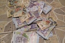 Több mint 500 ezer lejt találtak elásva a kertben