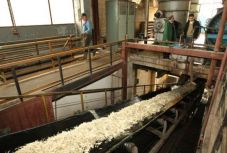 Szándékosan vitték csődbe a nagyváradi cukorgyárat?