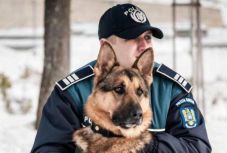 Rendőrkutya kapott el egy tolvajt, aki nem sokáig örülhetett a zsákmánynak