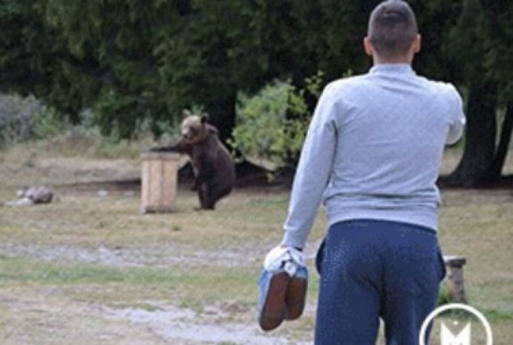 „Híres” akar lenni? Még ma szóljon a Maszolnak!