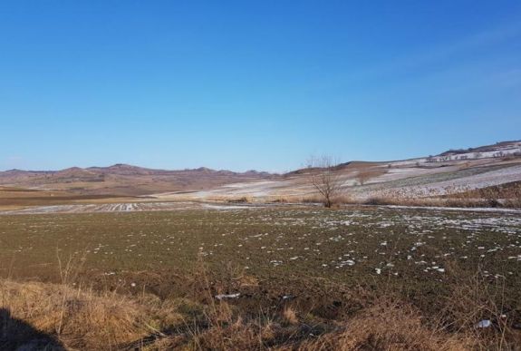 Újabb medvetámadás Székelyföldön: ezúttal egy fiatalember az áldozat