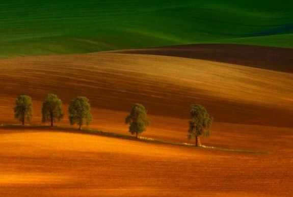 Nemzetközi fotókiállítást értékeltek Csíkszeredában