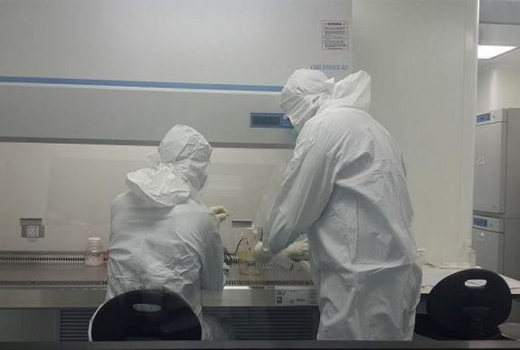 Laboratóriumban növesztett csontot ültettek emberbe