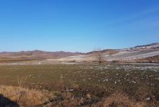 Újabb medvetámadás Székelyföldön: ezúttal egy fiatalember az áldozat