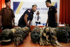 Emberi koponyákat akartak Hollandiába csempészni