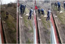 Brutálisan megvert a vasúti kalauz egy potyautast