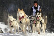 Egy római katolikus lelkész, hat husky: világbajnok csapat Óradnán