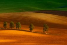 Nemzetközi fotókiállítást értékeltek Csíkszeredában