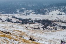 FRISSÍTVE: Vonatjáratokat töröltek az erős szél és havazás miatt