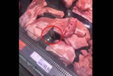 Egér a húsáru hűtővitrinjében: levelet kaptunk a Kauflandtól