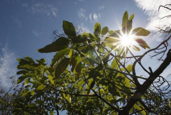 Néhány nap alatt radikálisan változik az időjárás