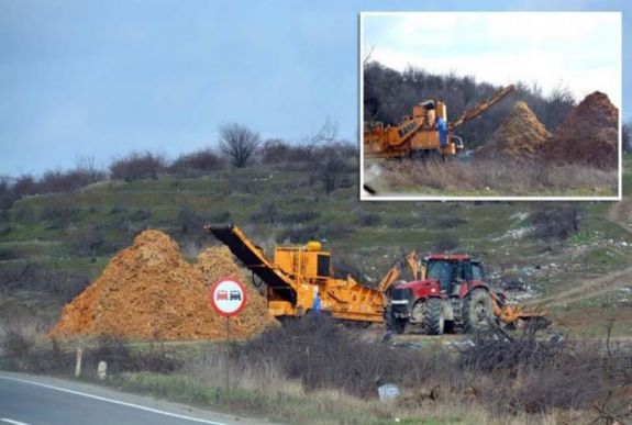 Tévedésből vágtak ki egy gyümölcsöst Nagyvárad határában